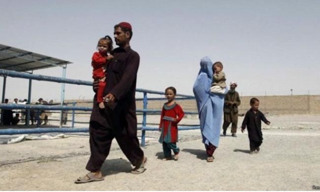 وزارت مهاجرین  امسال ۷۰۰ هزار مهاجر افغان از پاکستان باز می‌گردند